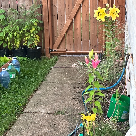 Show Notes Please Read! - Picture 1 of 1